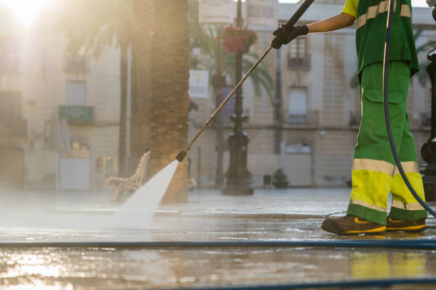 Animal Enclosure Cleaning in Delta Junction, AK